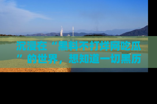 沉浸在“黑料不打烊网吃瓜”的世界，想知道一切黑历史与内幕信息的网站！
