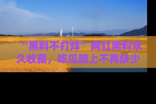 “黑料不打烊”网红黑料永久收藏，吃瓜路上不再缺少惊喜与乐趣