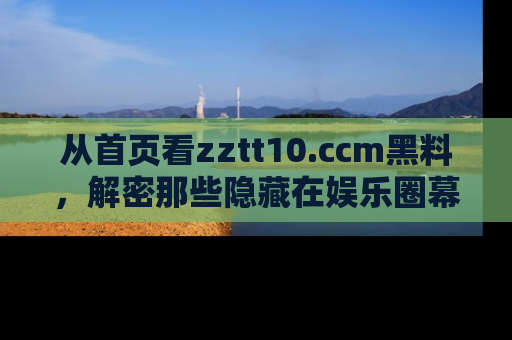 从首页看zztt10.ccm黑料，解密那些隐藏在娱乐圈幕后的丑闻故事！