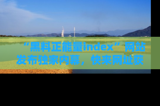 “黑料正能量index”网站发布独家内幕,快来网址获取精彩内容吧!