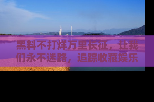 黑料不打烊万里长征，让我们永不迷路，追踪收藏娱乐爆料的乐趣！