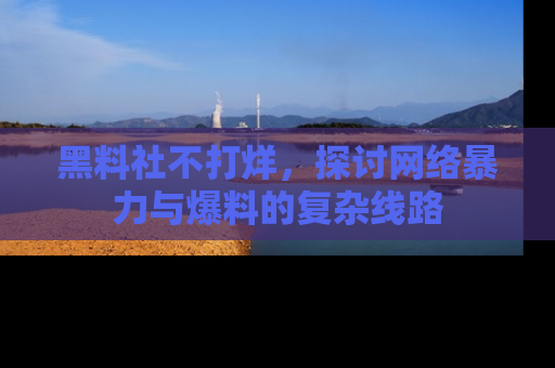黑料社不打烊，探讨网络暴力与爆料的复杂线路