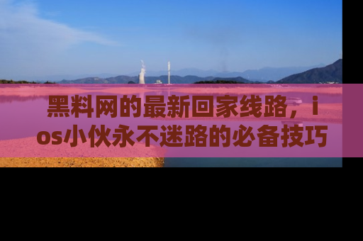 黑料网的最新回家线路，ios小伙永不迷路的必备技巧！