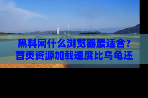 黑料网什么浏览器最适合？首页资源加载速度比乌龟还慢的体验真心吐槽！