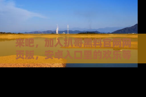 来吧，加入扒哥黑料官网网页版，安卓入口里的欢乐等着你！