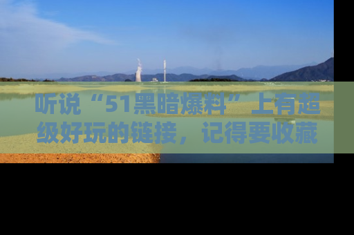 听说“51黑暗爆料”上有超级好玩的链接,记得要收藏哦!