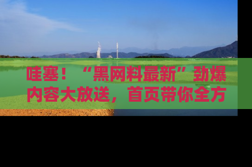 哇塞!“黑网料最新”劲爆内容大放送,首页带你全方位了解哦,小可爱们