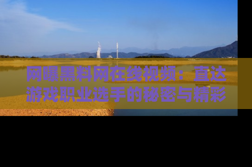 网曝黑料网在线视频：直达游戏职业选手的秘密与精彩动漫片段！