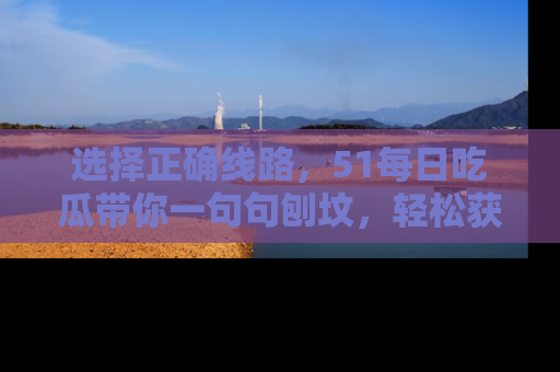 选择正确线路,51每日吃瓜带你一句句刨坟,轻松获取娱乐新资讯
