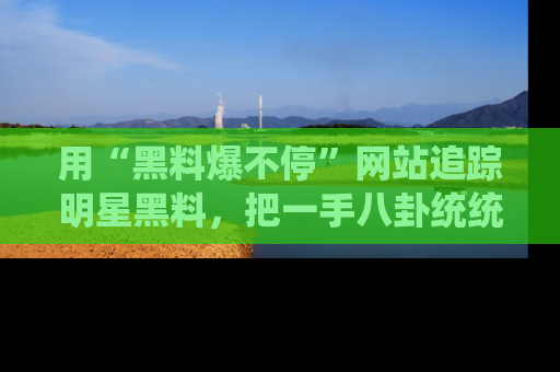 用“黑料爆不停”网站追踪明星黑料,把一手八卦统统收进你的后宫中!