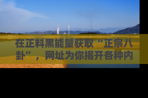 在正料黑能量获取“正宗八卦”,网址为你揭开各种内幕故事!